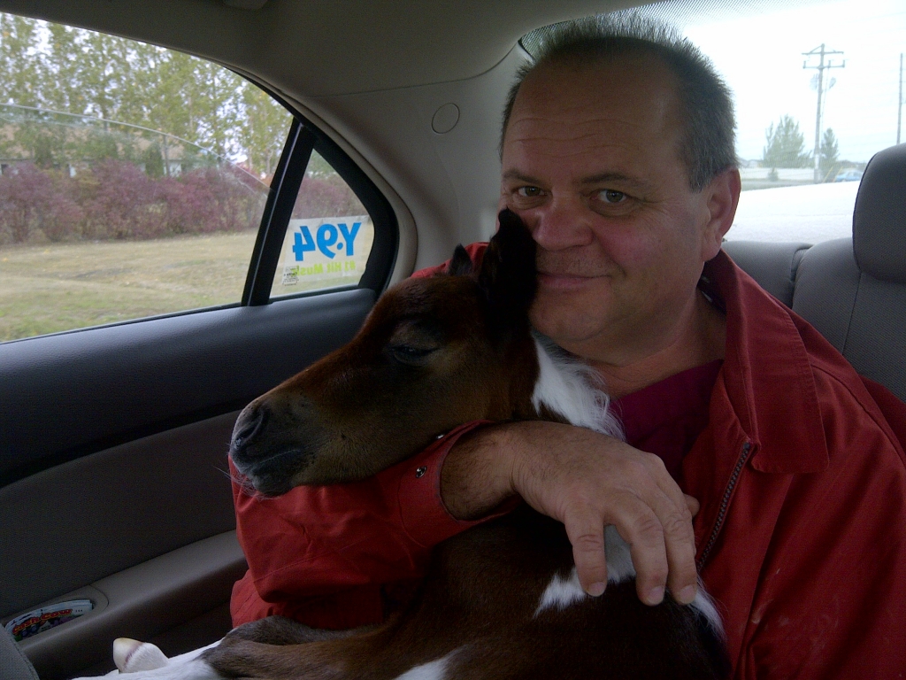 Prairie Winds Veterinary Center Fargo, ND About Us