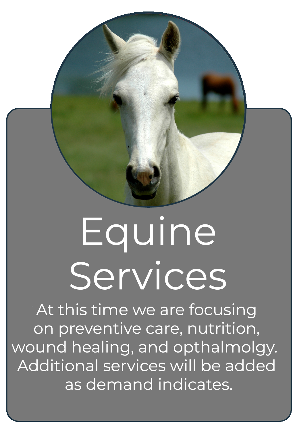 Equine Services - Click to read more about services