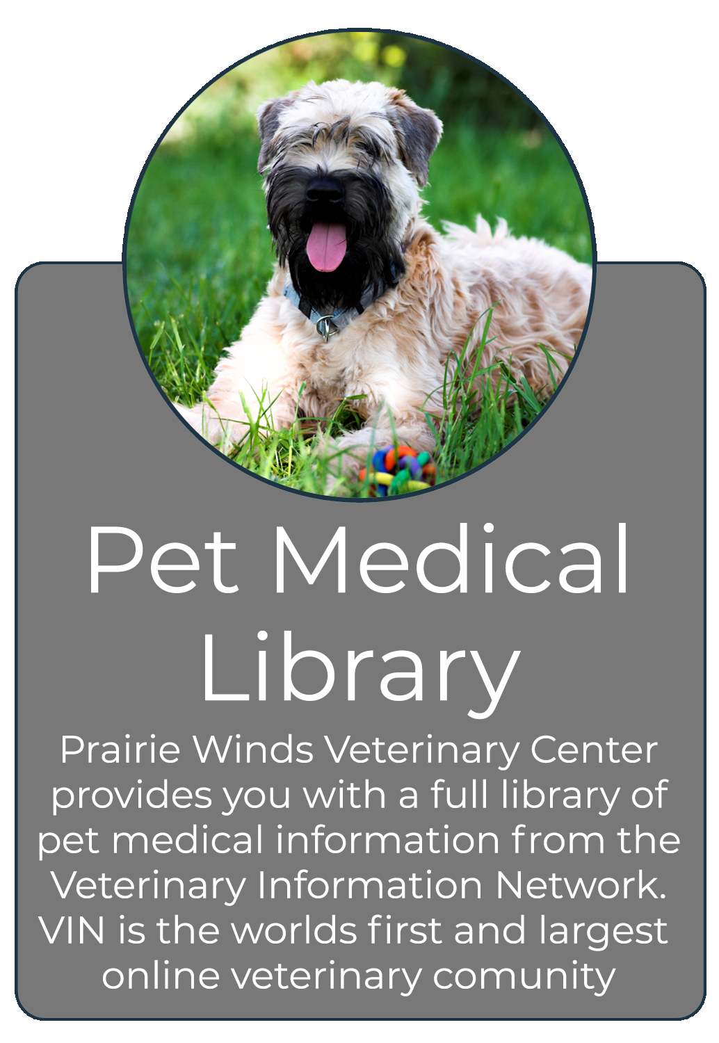 Pet Medical Library - Click to learn more about pet medical issues