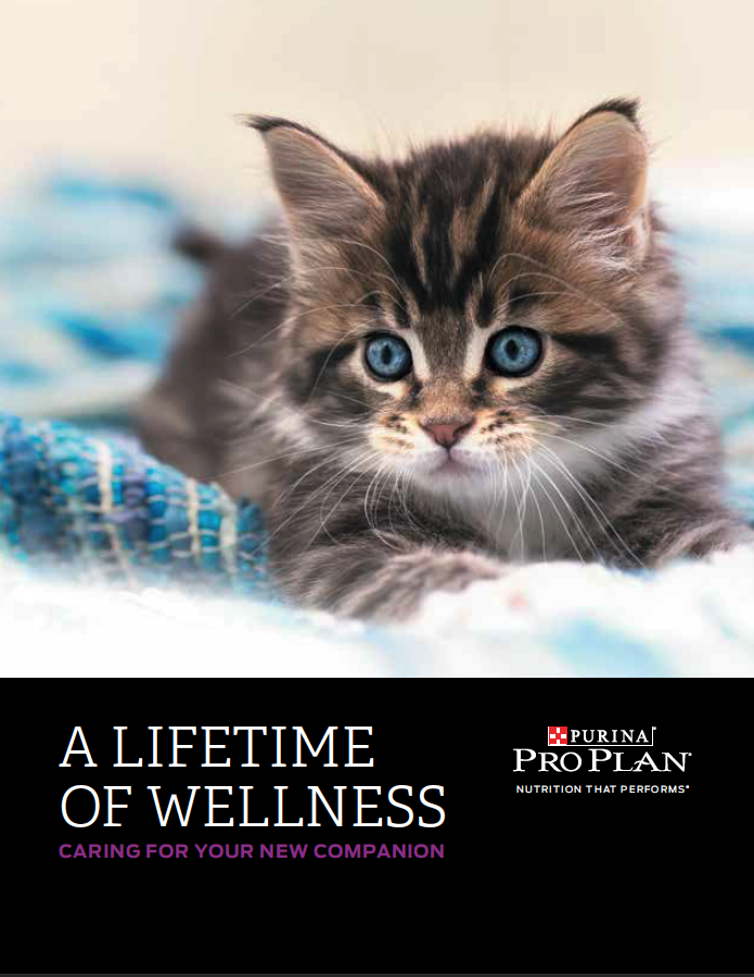 Purina - Kitten Wellness Information Document