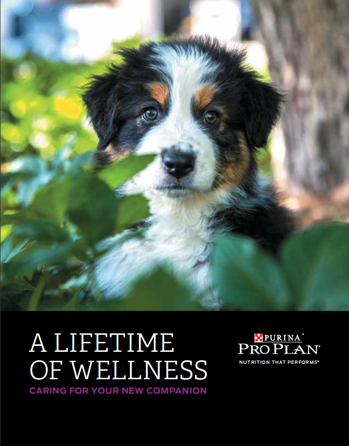 Purina - Puppy Wellness Information Document